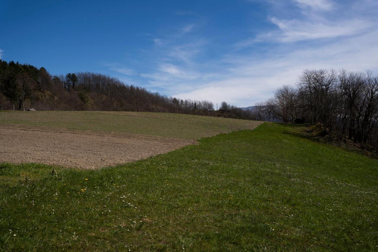 028 - Agriturismo "Il Boschetto" Con Piscina, Pace E Natura - Camera Familiare Cavizzano Zewnętrze zdjęcie