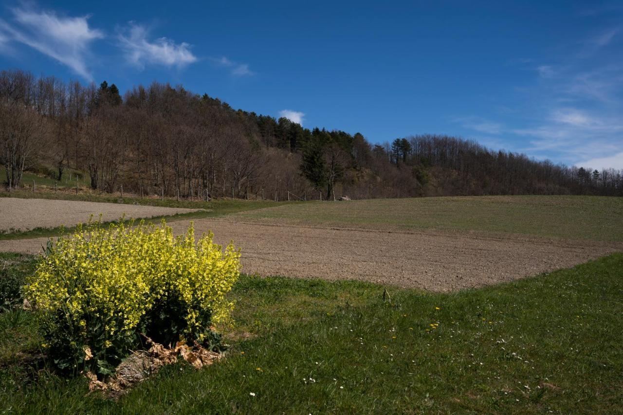 Willa 028 - Agriturismo "Il Boschetto" Con Piscina, Pace E Natura - Camera Familiare Cavizzano Zewnętrze zdjęcie