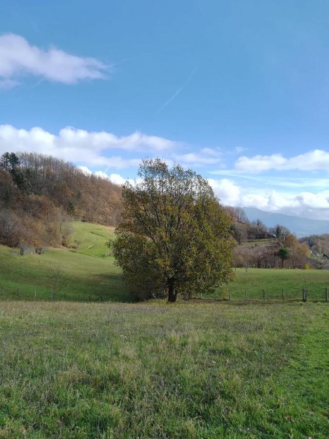 028 - Agriturismo "Il Boschetto" Con Piscina, Pace E Natura - Camera Familiare Cavizzano Zewnętrze zdjęcie