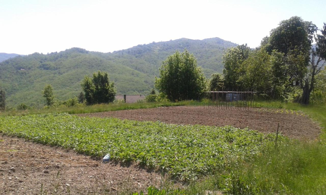 028 - Agriturismo "Il Boschetto" Con Piscina, Pace E Natura - Camera Familiare Cavizzano Zewnętrze zdjęcie