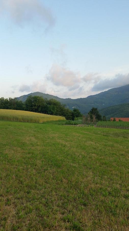 028 - Agriturismo "Il Boschetto" Con Piscina, Pace E Natura - Camera Familiare Cavizzano Zewnętrze zdjęcie